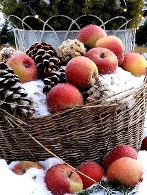 appels in de sneeuw