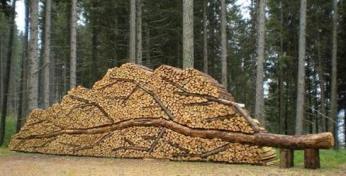 houtstapel in de vorm van een liggende boom